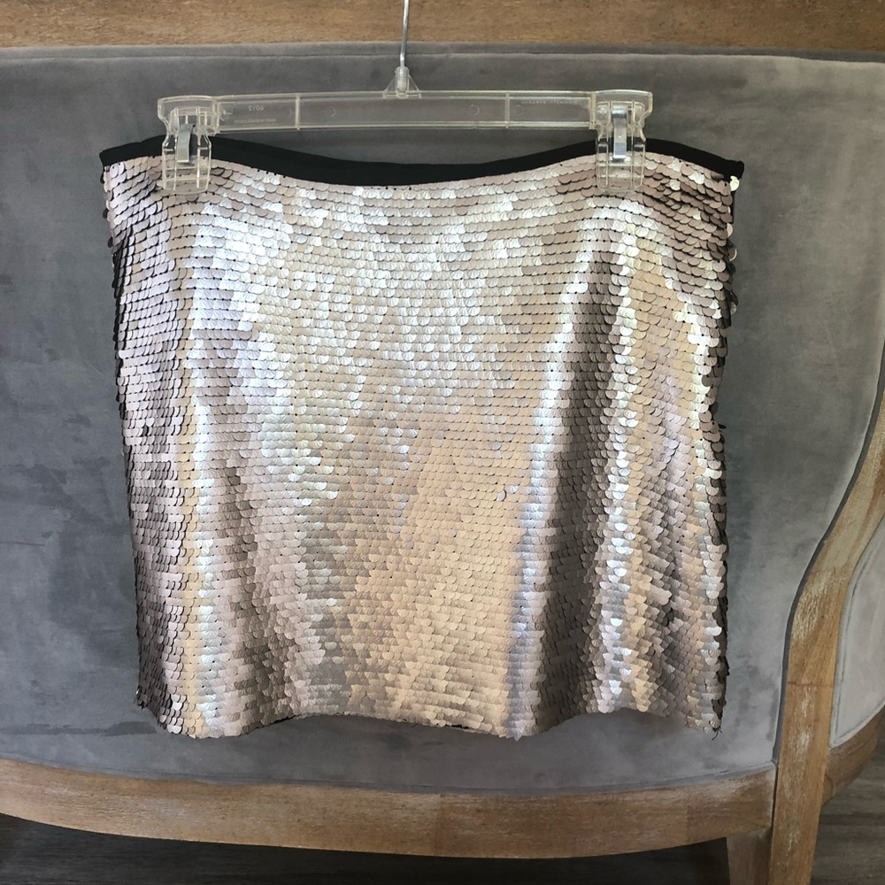 Zara Sequined Skirt